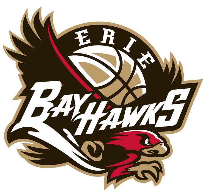 Erie BayHawks 2008-Pres Primary Logo iron on heat transfer